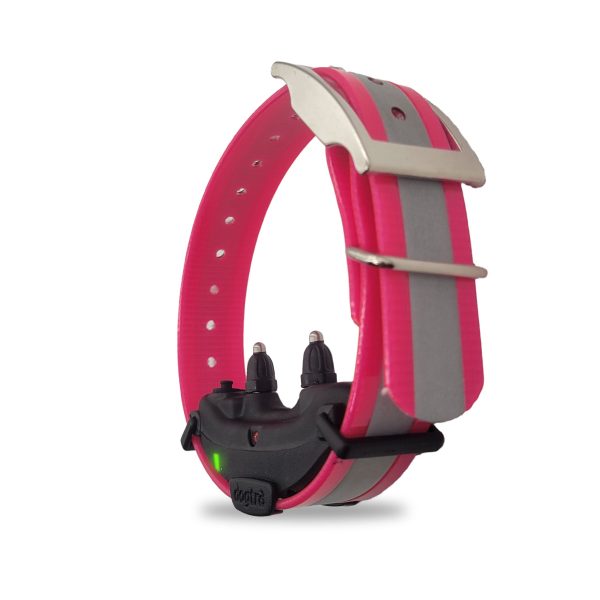 Dogtra ARC Additional Collar on Sale