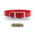 1  Solid Premium Glow Tuff D Ring Dog Collar with Brass Name Plate Hot on Sale