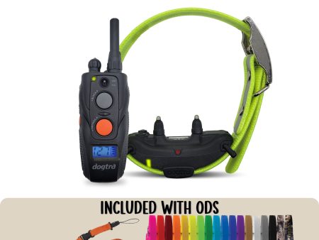 Dogtra ARC Remote Trainer Combo Online