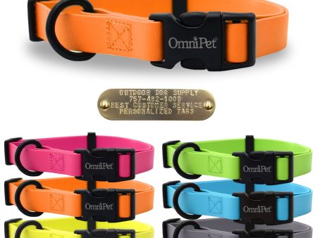 1  Carnival Color Dog Collar with Brass Name Plate Sale