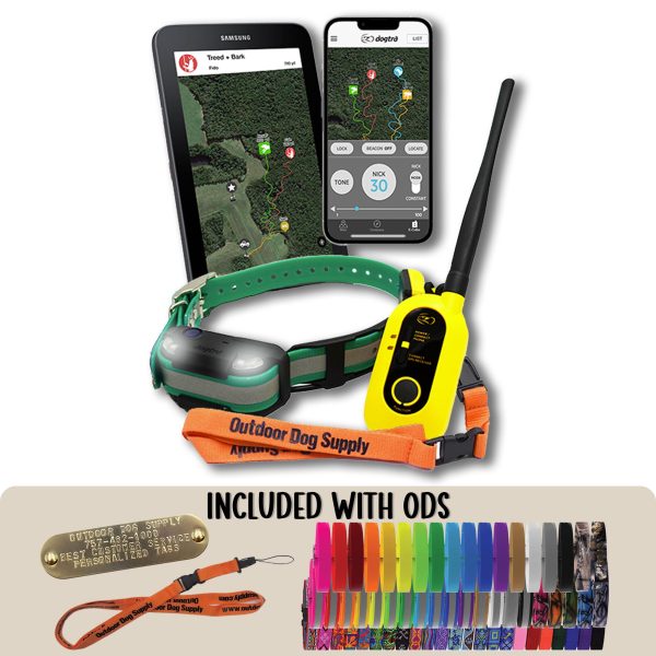 Dogtra Pathfinder2 Training & GPS Combo Hot on Sale