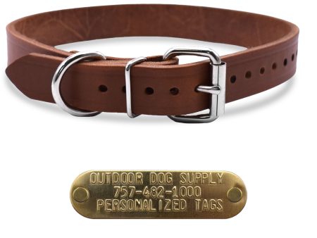 1  Leather D Ring Dog Collar with Brass Name Plate Online now