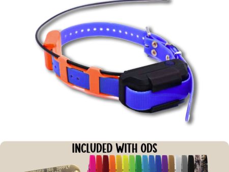 Dogtra Pathfinder TRX (GPS-Only) Additional Collar Sale